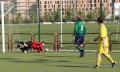 FUTBOL VETERANOS ST 04.jpg
